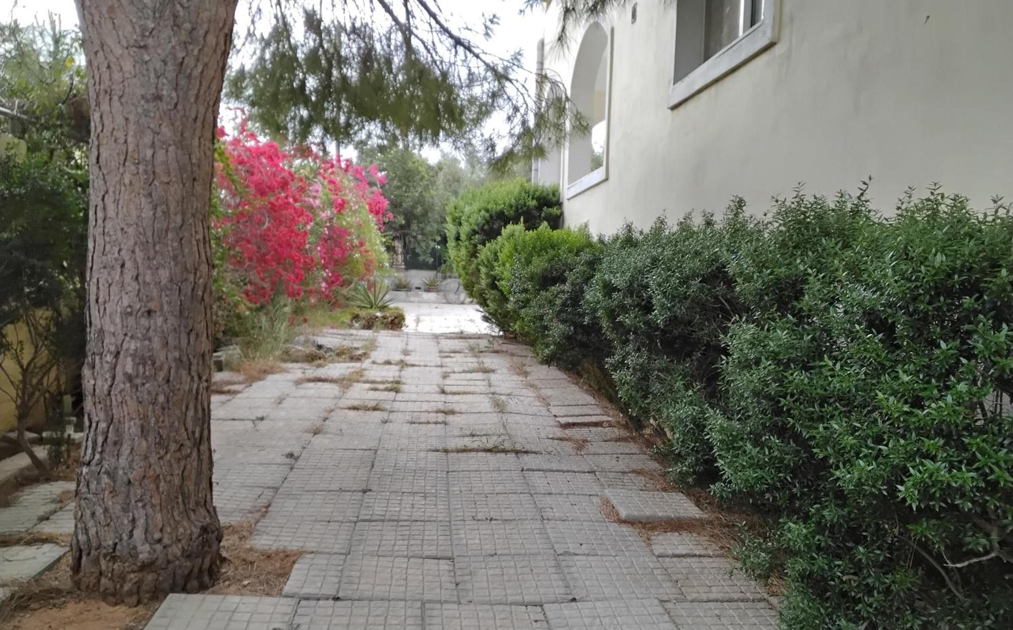 Peaceful Oasis Apartamento Atenas Exterior foto
